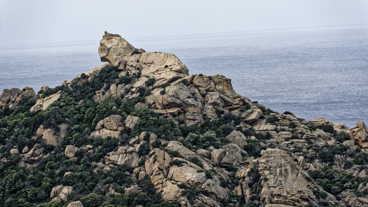 20230520 120615•Sartene•Corsica•France